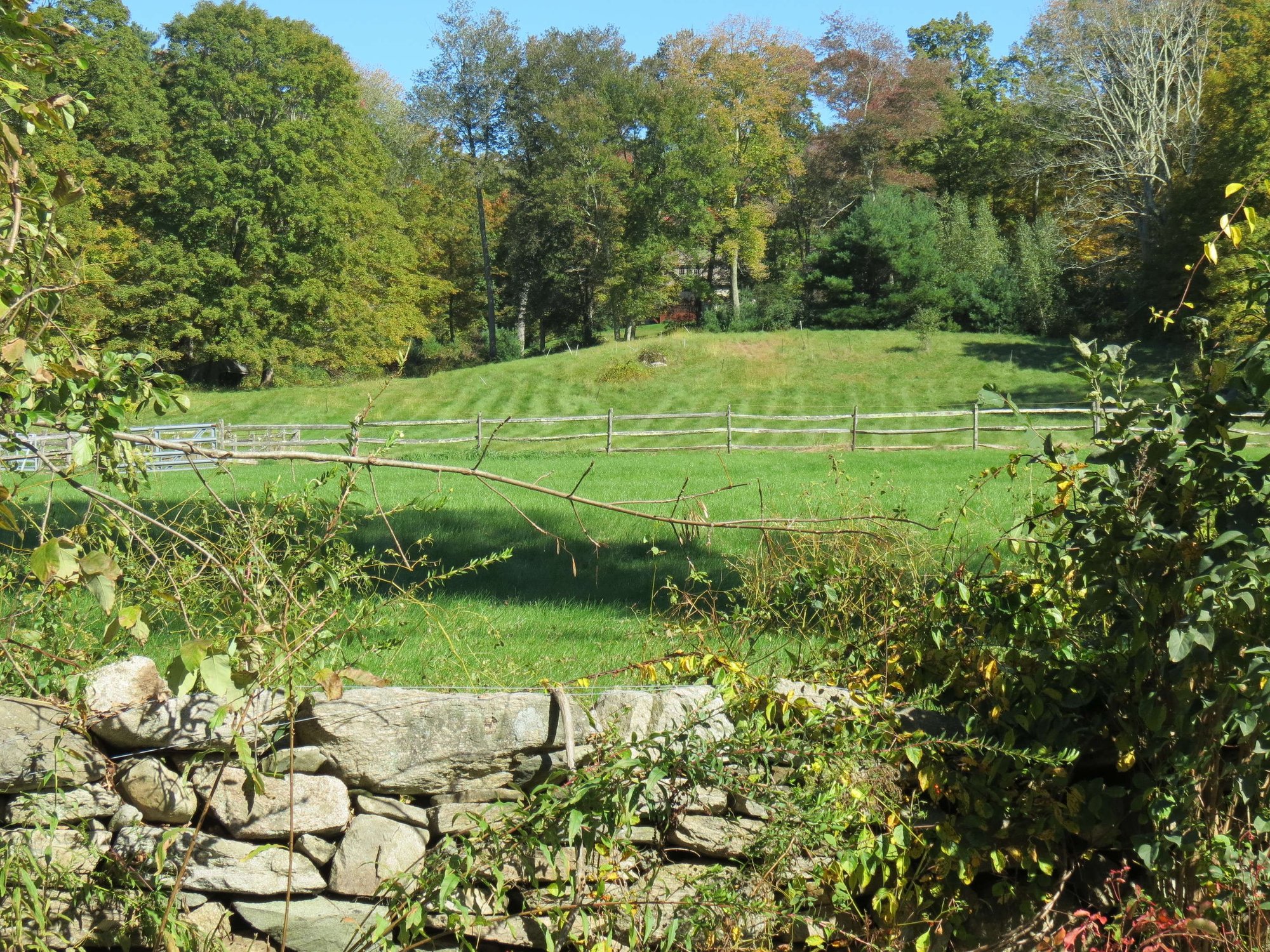 photo of open field building lot